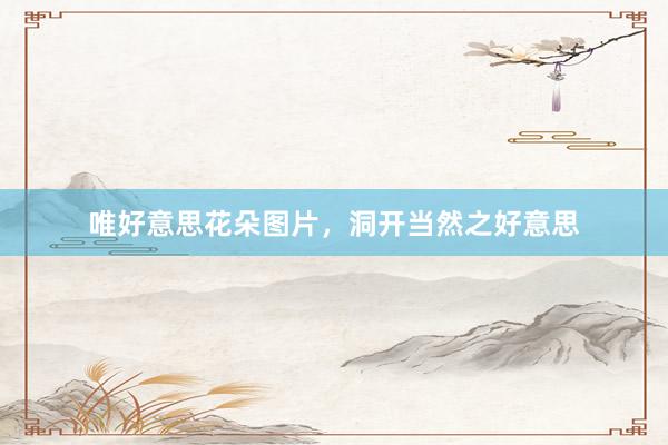 唯好意思花朵图片，洞开当然之好意思