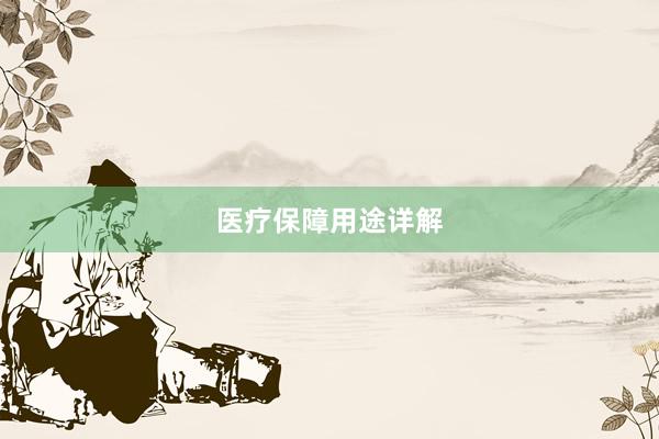 医疗保障用途详解