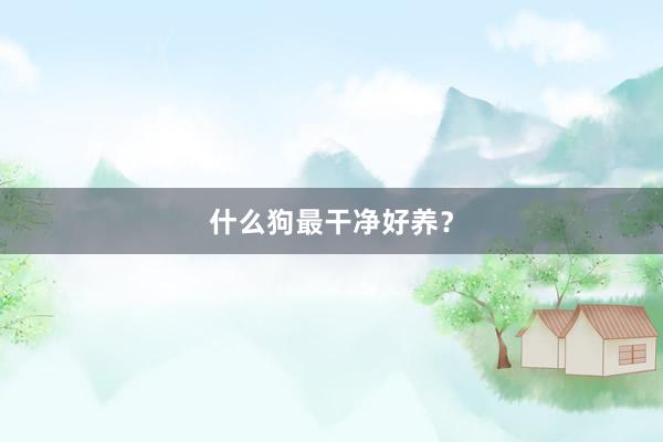 什么狗最干净好养？